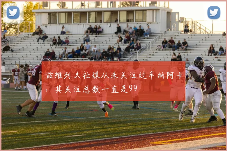 兹维列夫社媒从未关注过辛纳阿卡，其关注总数一直是99